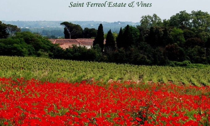 Nizas Villa | La Forge, 2 bedroom charming vineyard villa at Domaine Saint Ferreol
