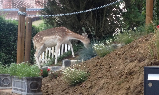 Berthen House | La Garonde