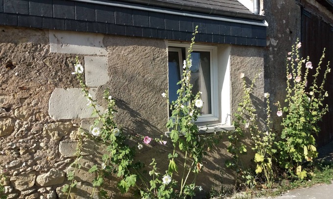Amboise House | La Grange de la Bigonnerie 2 km from the center of Amboise