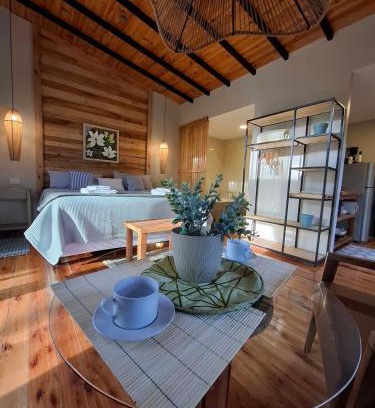 Tunuyan Apartment | La Hijuela