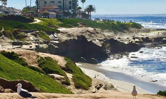 La Jolla Condo | La Jolla Cove Oceanfront Paradise