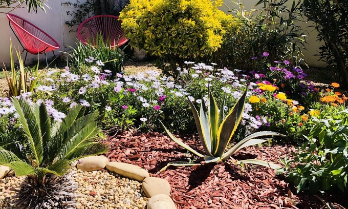 Bages Bed & Breakfast | La Lagune