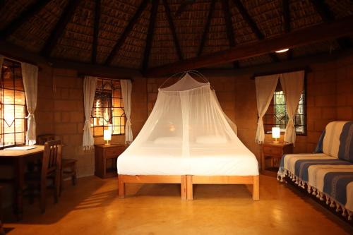 San Pedro Pochutla Hotel | LA LOMA LINDA, Bungalows, Yoga and Feldenkrais, STARLINK INTERNET