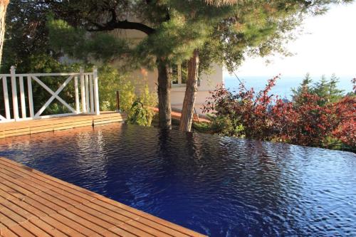 Bompard Bed & Breakfast | La LUNA of MARSEILLE - VILLA D'ARCHITECTE B&B
