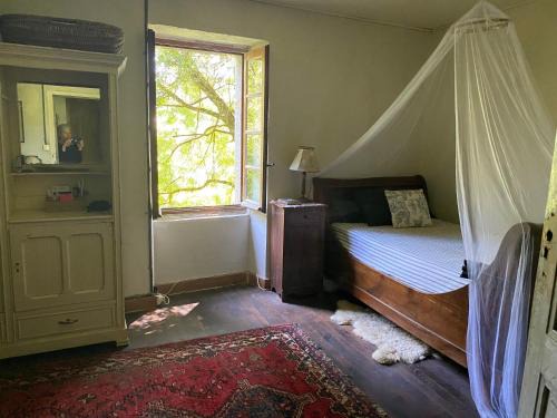 Vabre House | La Maison dans la forêt