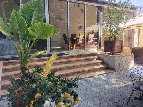 Valreas House | La Maison De Maître Potager