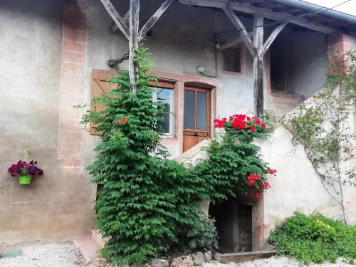 Prety Apartment | La Maison MOJA