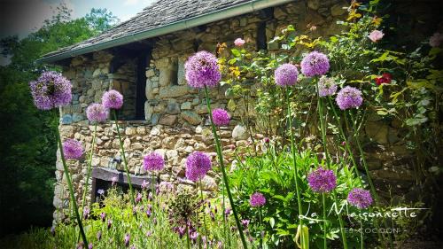 Entraygues-sur-Truyere House | La Maisonnette