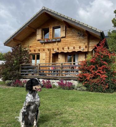 Chorges Ski Chalet | La Marmotte