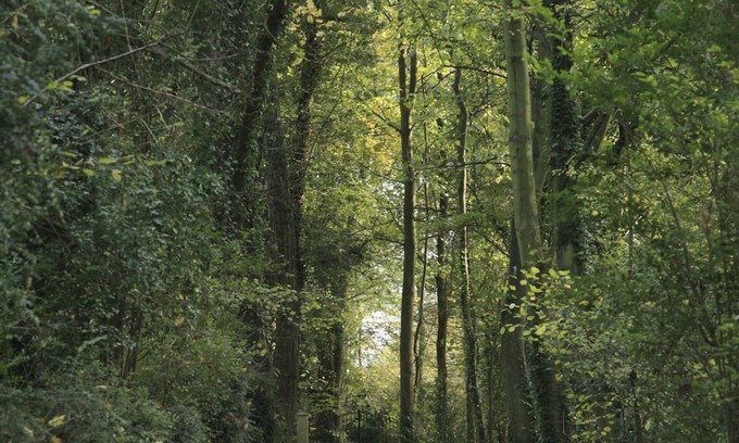 Fatouville-Grestain Cottage | LA NORMANDE - cottage ALL COMFORT, FULL NATURE, and NEAR THE SEA