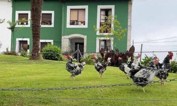 Noriega House | La Pereda Rural House