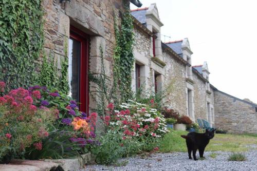Missillac Bed & Breakfast | La Petite Bérais