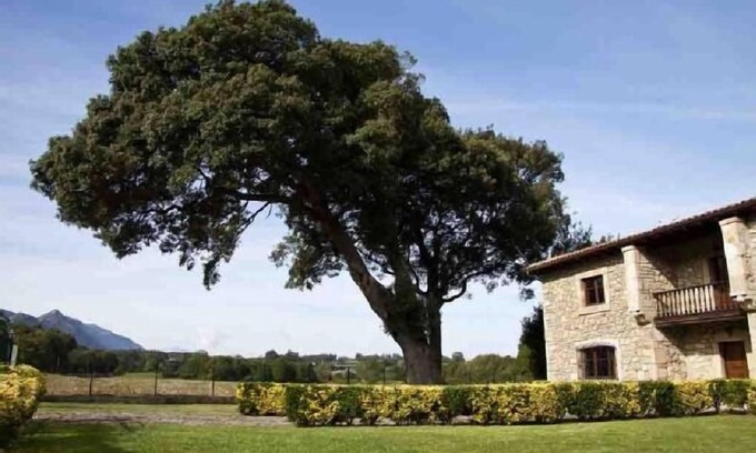 Villahormes Cottage | La Piniella Village House for 10 people
