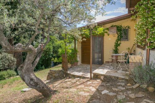 Guardistallo Apartment | La Poggiolina in Toscana