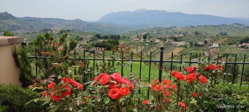 Bucchianico House | La Presentosa