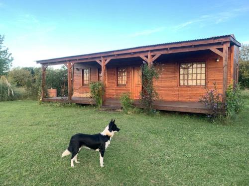 Santa Coloma Other | La Presumida