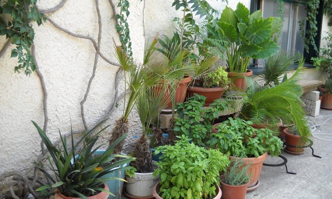Sambuca di Sicilia Bed & Breakfast | La Regina di Adrano