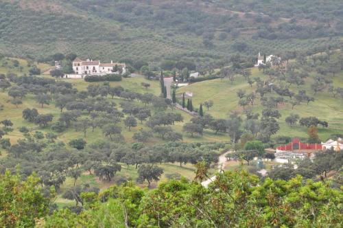 Villanueva del Rio y Minas House | La Rejaquera