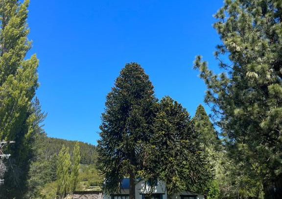 La Bolsa House | La Rinconada Ranch