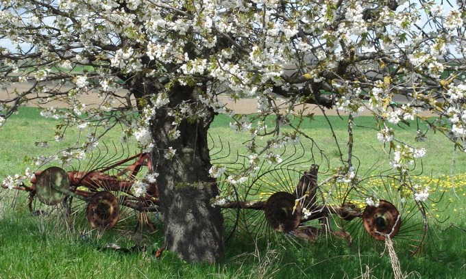 Chatel-Guyon House | La Roche Pérégrine