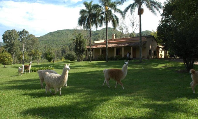 Yala House | La Sala