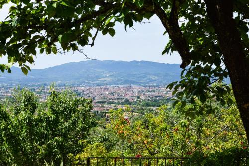 Pistoia Apartment | "La Salvia" - Villa Pacinotti