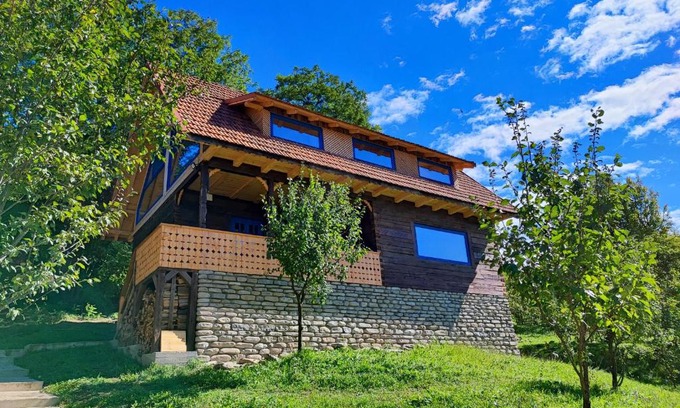 Bertea House | La sat - Radu Dragu