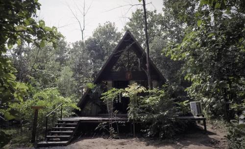 Turiya Resort | LA SELVA Resort, Pench National Park