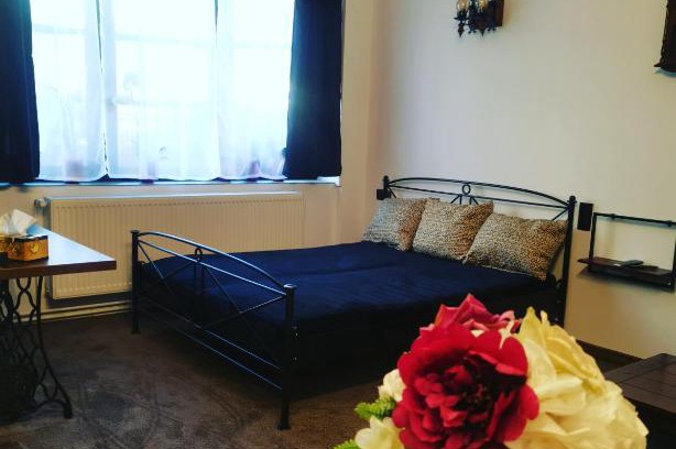 Satu Mare Apartment | La teatroom