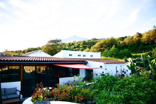 Icod de los Vinos House | La Vega Rural de Garachico, near Santa Cruz de Tenerife