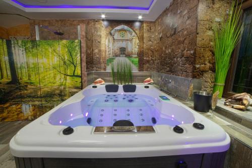 Alhama de Aragon Apartment | LA VEGUILLA DELUXE JACUZZi