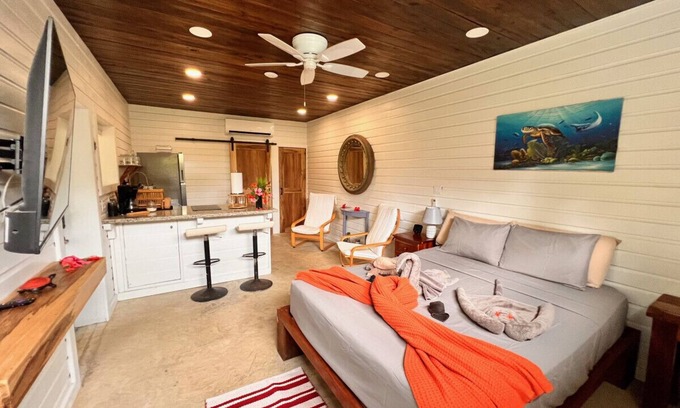 Caribbean Way House | La Vida Belize Studio an Affordable Property Just steps from the Beach