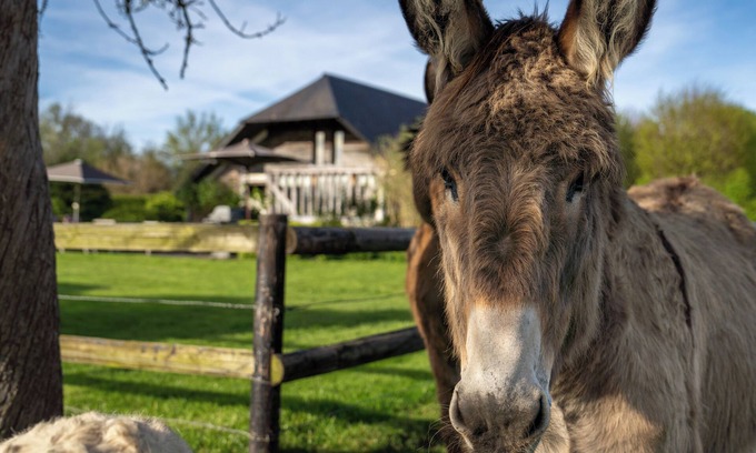 Bonnebosq Cottage | La Vie de Cocagne, Gite de charme near Deauville, outdoor hot tub , 4 adults