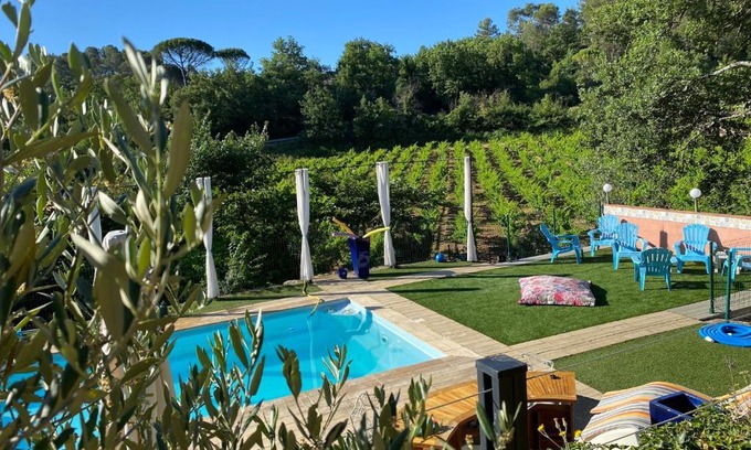 Tourves Bed & Breakfast | La Vie Est Belle En Provence