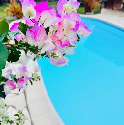 Matoury House | La Villa Louisia