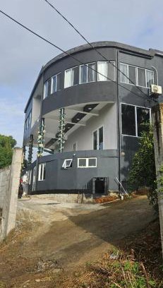 Vieux Fort Quarter House | Lacewing