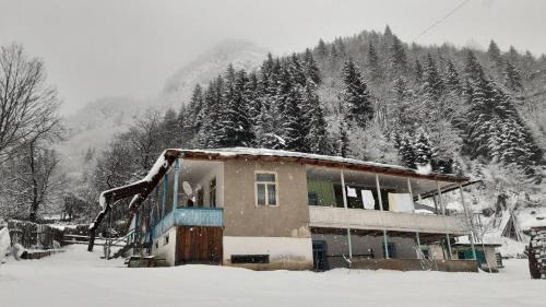 Khaishi House | Laia's Guesthouse