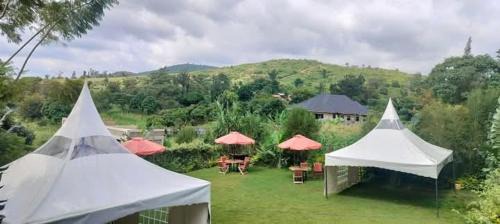 Sagana Hotel | LAIBON GARDENS & CAMPSITE, Sagana