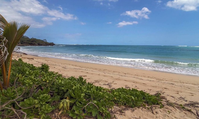Laie House | Laie Beachfront - Spacious yard, Steps to the beach