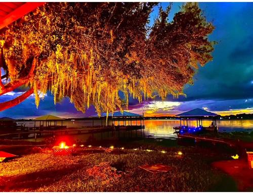 Highland House | Lake Francis Lily Pad