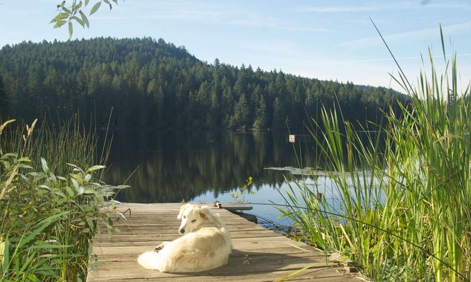 Salt Spring Island Cottage | Lake House Saltspring Island
