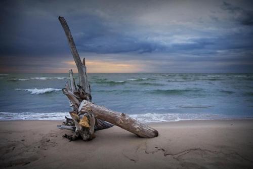 Oscoda House | Lake Huron - 1 Bedroom, 1 Bath Lake Front Cabin (Sleeps 4)