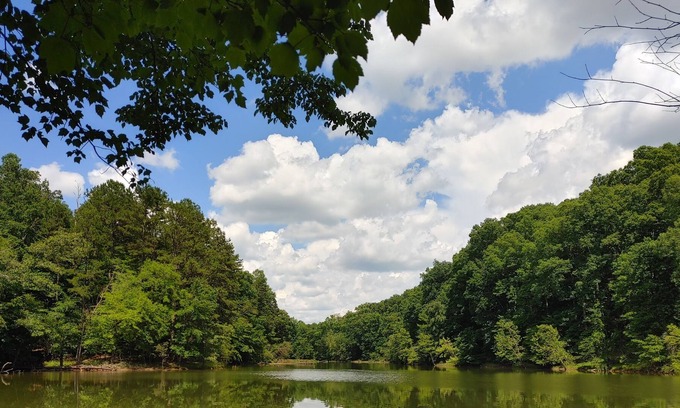 Central Cabin | Lake Lodge -2 miles to downtown and Clemson University