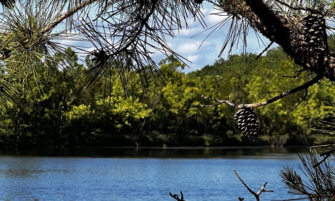 Brixey House | Lake Longbow-10 acre STOCKED lake, 80 acres, 4-wheeler/walking trails, swimming