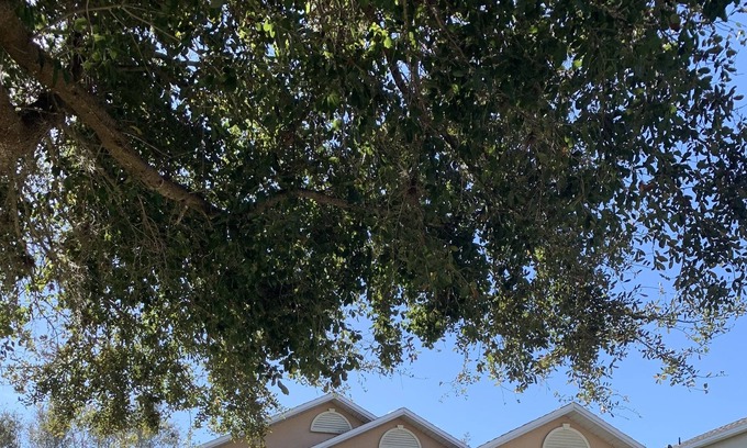 Orlando House | Lake Nona Home Near Medical City