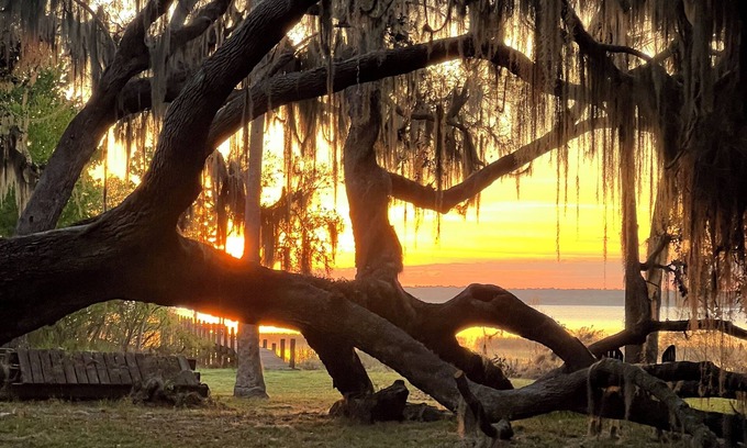 Fedhaven Cabin | Lake Rosalie Retreat