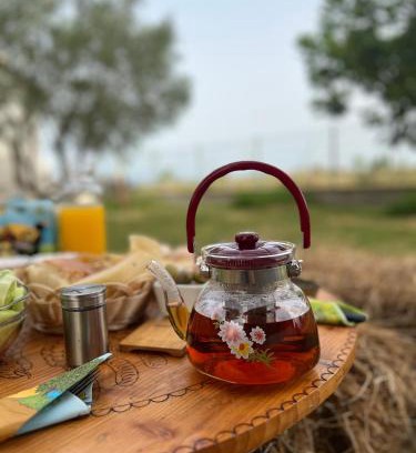 Grile Villa | Lake shkodra