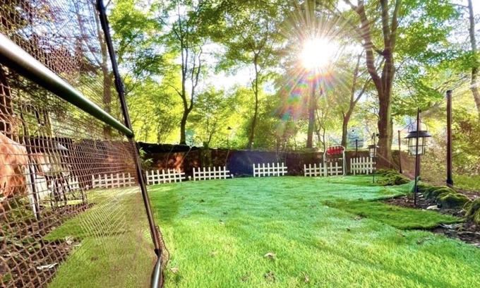 Kitasaku-gun Cottage | Lake View! Dog-Friendly Trip/Cottage with Dog Run/Well-Equipped Kitchen