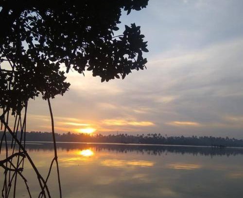Kuzhuppilly Bed & Breakfast | Lakefront Beach Homes