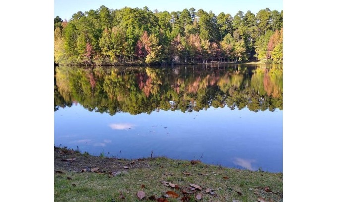 Hot Springs Village Bed & Breakfast | Lakefront Condo/Apartment On Beautiful Segovia Lake!